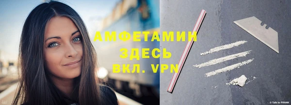 гидра Алексин