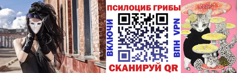 где купить MEGA зеркало Галлюциногенные грибы Cubensis Ужур